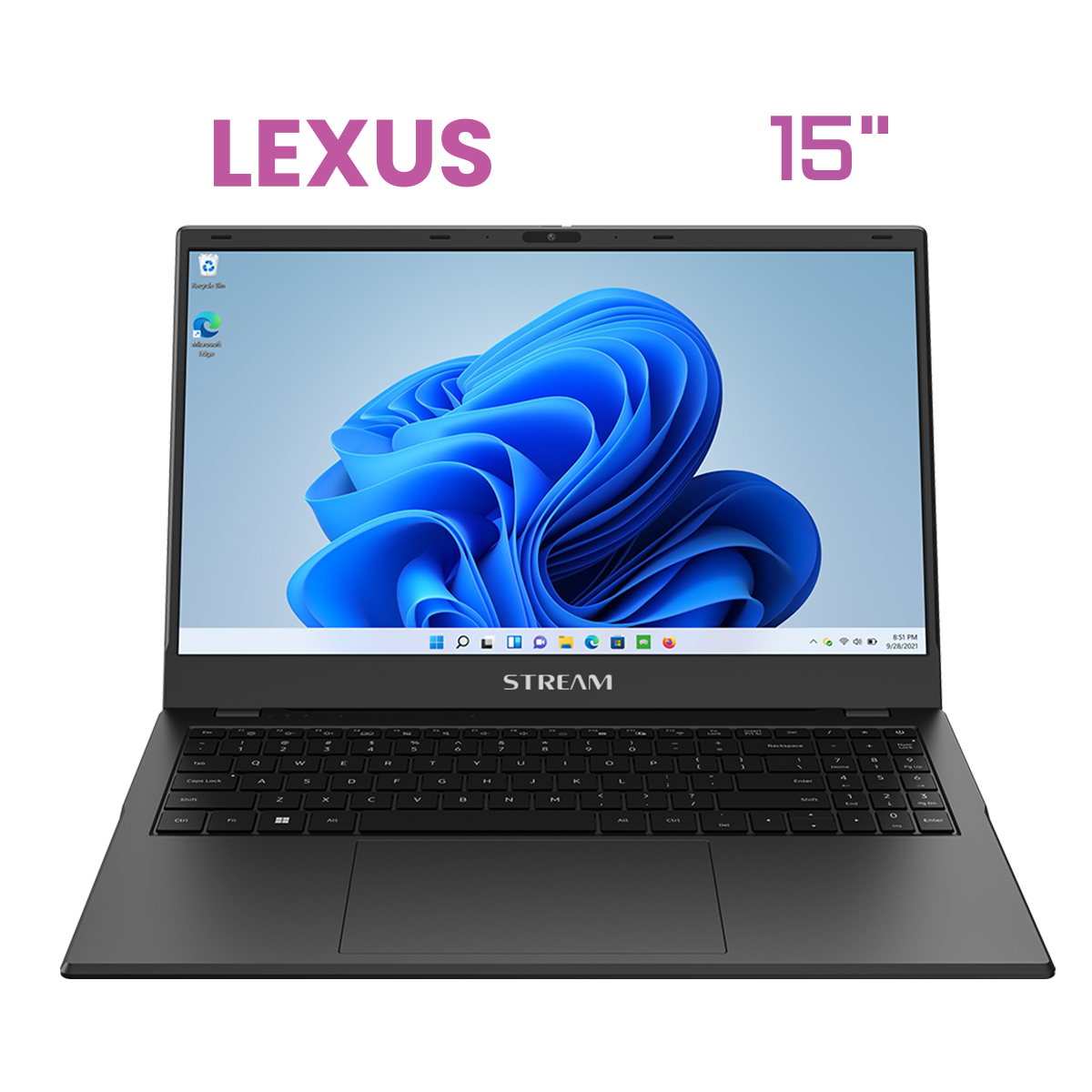 New image of LEXUS-NS15N-01