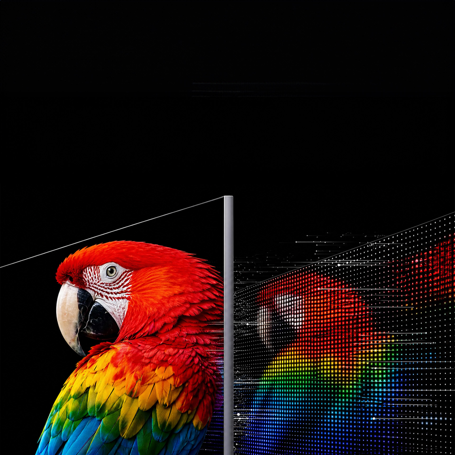 RGB miniLED Backlight